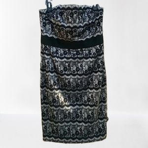 NWOT WHBM Strapless Lace Dress